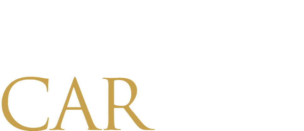 CarSafe logo